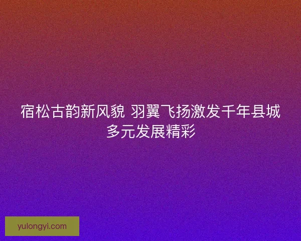 宿松古韵新风貌 羽翼飞扬激发千年县城多元发展精彩